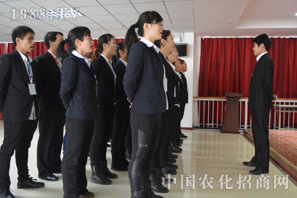 沒有完美的個(gè)人只有完美的團(tuán)隊(duì)