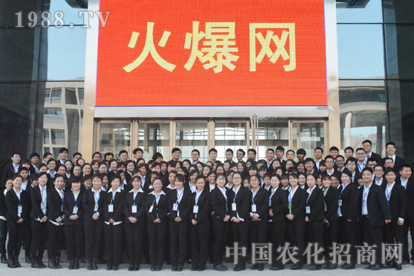沒有完美的個(gè)人只有完美的團(tuán)隊(duì)