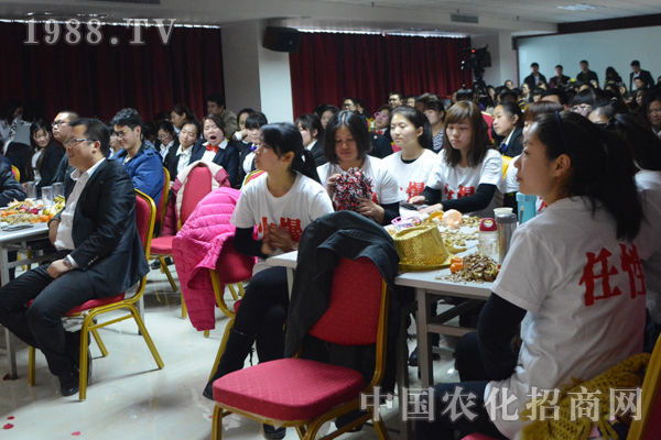 火爆!我的團(tuán)隊(duì)我的家